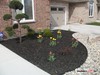 FRONT GARDEN TULIPS AND NO WORK ROCK GARDENS WITH IRRIGATION